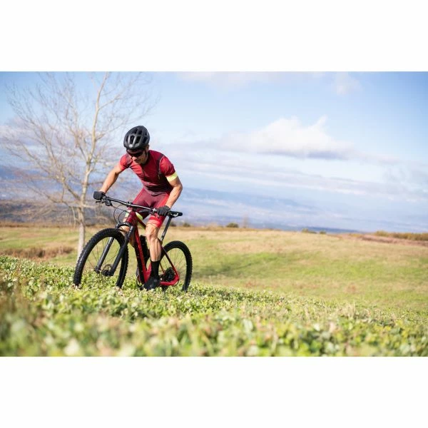 VÉLO VTT SEMI RIGIDE ROCKRIDER XC 900 29'' CARBONE GX EAGLE LUNAR – Image 16